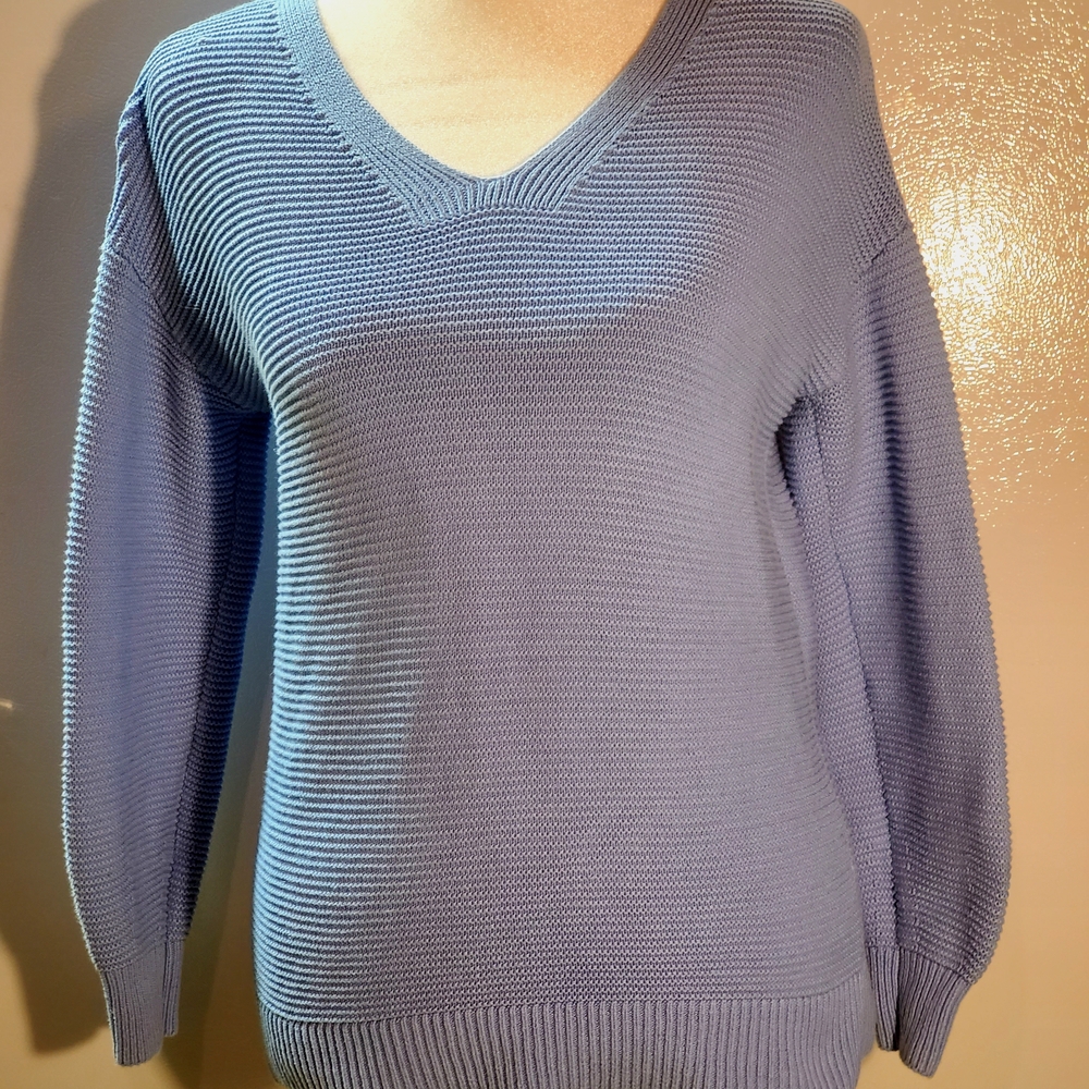 Blue Loft V-Neck Sweater
